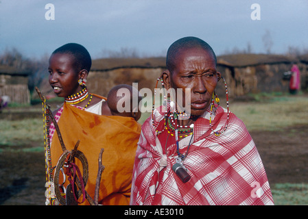 MASAI MARA Kenia Afrika Kenia Stockfoto