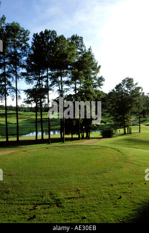 Robert Trent Jones Golf Trail, Greenville, Kambrium Ridge, Alabama, 8. Abschlag, Canyon Stockfoto