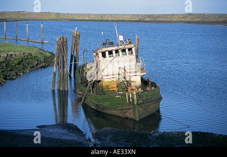 Das Wrack von einem alten Fischerboot im Hafen Gold Beach in der Nähe der Mündung des Rogue River in Oregon. Stockfoto