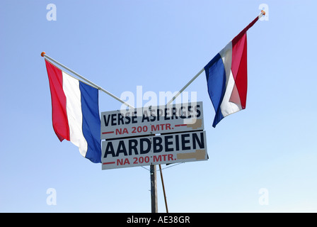 Melden Sie am Straßenrand in Holland Werbung Spargel und Erdbeeren für Verkauf Stockfoto