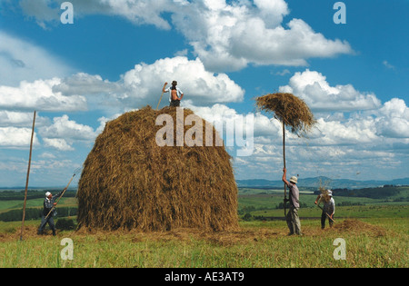 Landwirte, die sich Heuhaufen auf der Oberseite einen Heuhaufen. Altai. Sibirien. Russland Stockfoto