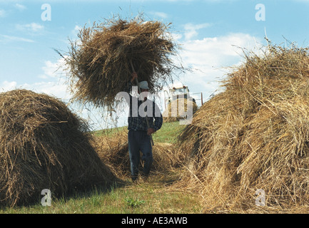 Ein Bauer macht Heuhaufen Sibirien Altai Russland Stockfoto