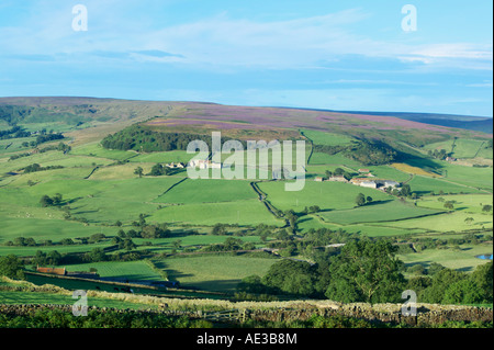 In der Nähe von Danby Esk Dale North Yorkshire England Stockfoto