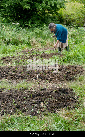 Jane Faith Gartenarbeit bei niedrigen Auswirkungen Ringlokschuppen gebaut von Tony Wrench am Brithdir Mawr Pembrokeshire West Wales UK EU Stockfoto