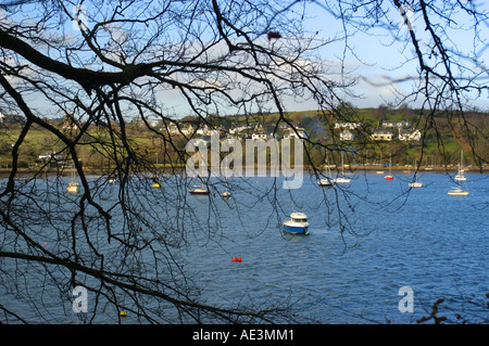 Blick vom John Musgrave Heritage Trail Dittisham Dorf über den Fluss Dart in South Devon Stockfoto