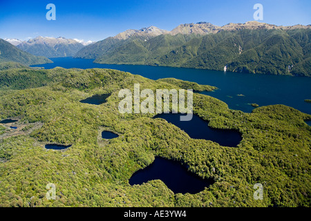 Seen und South Fiord Lake Te Anau Fiordland National Park Südinsel Neuseeland Antenne Stockfoto