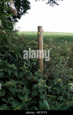 Einen Block freien Durchgang entlang einem Weg über gewachsene öffentliche Wegerechte Stockfoto