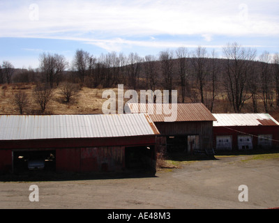 Verlassener Bauernhof, Upstate New York. Vereinigte Staaten von Amerika. Stockfoto