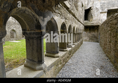 Kreuzgang, Ross Errilly Franziskaner Kloster in der Nähe von Headford, County Galway, Connacht, Republik Irland, Europa Stockfoto