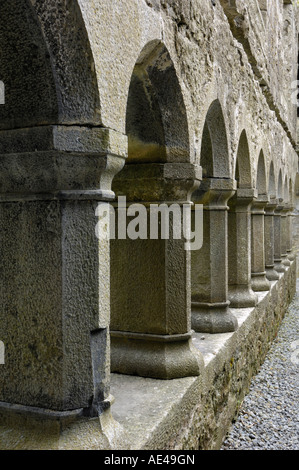 Kreuzgang, Ross Errilly Franziskaner Kloster in der Nähe von Headford, County Galway, Connacht, Republik Irland, Europa Stockfoto