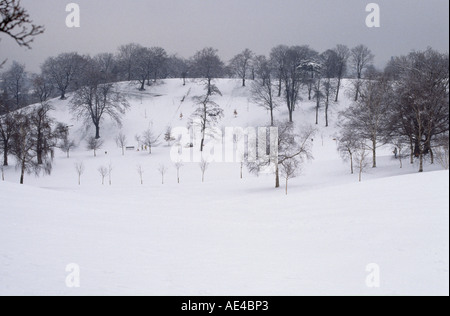 Greenwich Park unter Schnee Stockfoto