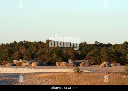 Natürliche Seastacks in Fårö, Gotland genannt Rauks. Diese sind auf Gamla Hamnøya bei Sonnenuntergang Stockfoto