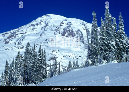 Schnee Umhänge Mount Rainier im Mount Rainer National Park in der Nähe von Seattle und Tacoma, Washington, USA Stockfoto