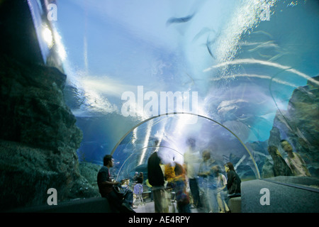 Ocean World, Siam Paragon Shopping Mall, Bangkok, Thailand, Südostasien, Asien Stockfoto