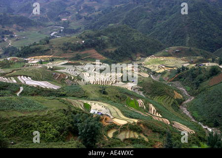 Steilen Reisterrassen im Muong Hoa Stream Tal in der Nähe von Sapa-Nord-Vietnam Stockfoto