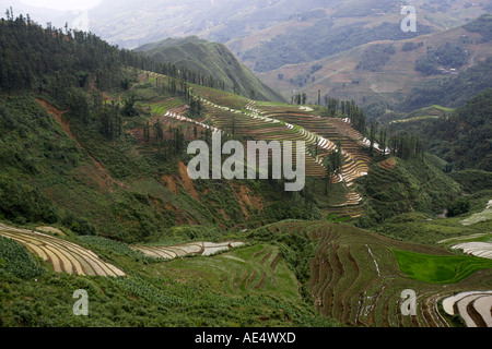 Steilen Reisterrassen im Muong Hoa Stream Tal in der Nähe von Sapa Vietnam Stockfoto