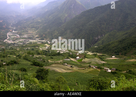 Reisterrassen und kultivierten Feldern im nebligen Muong Hoa Stream Tal in der Nähe von Sapa Vietnam Stockfoto