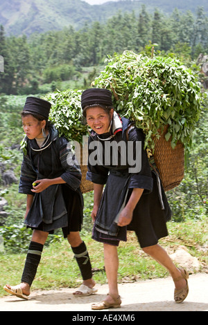 Zwei Black Hmong Frauen tragen Schulter Körbe mit Gemüse Schwein füttern entlang der Bergstraße in der Nähe von Sapa-Nord-Vietnam Stockfoto