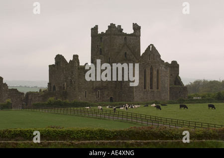 Dunbrody Abbey, Dumbrody, County Wexford, Leinster, Irland (Eire), Europa Stockfoto