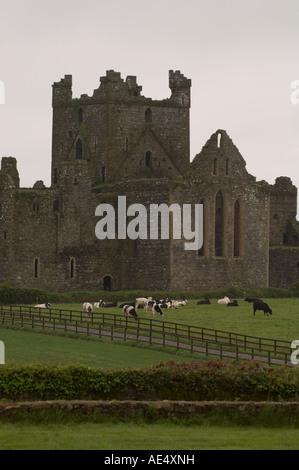 Dunbrody Abbey, Dumbrody, County Wexford, Leinster, Irland (Eire), Europa Stockfoto