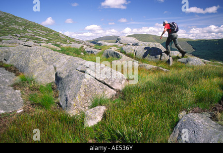 Hügel wandern Schottland Hügel Walker springen Steinen auf der Seite Snibe Hill in den Dungeon-Reihe von Hügeln Galloway Forest Park UK Stockfoto