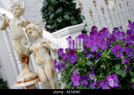 Virginia Loudoun County, Purcellville, East Main Street, Antiquitäten, Sammlerstücke, Blumenblumen, Besucher reisen Reise touristischer Tourismus Wahrzeichen lan Stockfoto