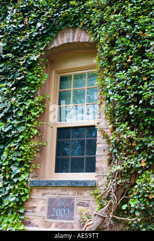Efeu (Hedera) wächst, ein Fenster auf Nassau Hall an der Princeton University, ein Efeu-Liga Schule in New Jersey zu gestalten Stockfoto