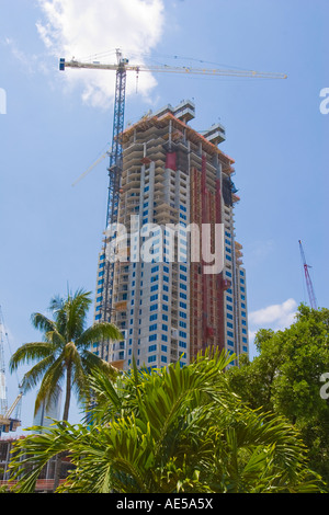 Riesigen Kran über Hochhaus im Bau mit Palmen und tropischen Pflanzen im Vordergrund Downtown Miami Florida Stockfoto