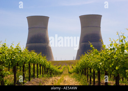 Kühltürme im Rancho Seco Kernkraftwerk mit Reihen von Trauben im Weinberg, die rund um die Pflanze wachsen außer Dienst gestellt Stockfoto