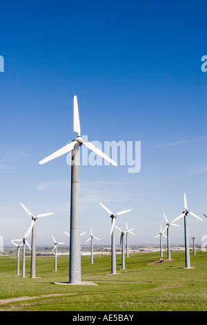 Viele Windmühlen in einem Feld in Livermore, Kalifornien Stockfoto