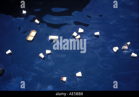 Papierkorb Floting auf Australien Sydney Harbour, einer der schönsten Häfen der Welt Stockfoto