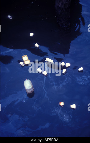 Papierkorb Floting auf Australien Sydney Harbour, einer der schönsten Häfen der Welt Stockfoto