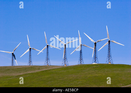 Windmühlen mit Zebra-Streifen auf den Blättern an der Spitze von einem grasbewachsenen Hügel Livermore, Kalifornien Stockfoto