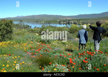 Südafrika Ramskop Wild Flower Garden Clanwilliam Damm Touristen Besuch RSA Stockfoto