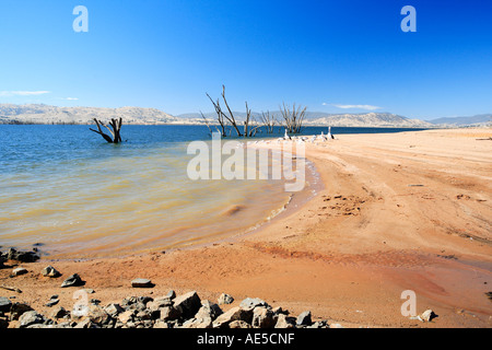 Ludlow Reserve am Lake Hume in der Nähe der Gemeinde Huon 20 km östlich von Wodonga Victoria Australien Stockfoto