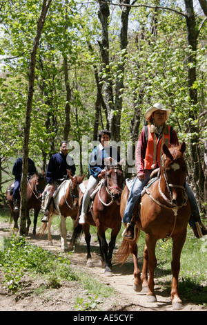 Shenandoah National Park Virginia, Meilenmarkierung 42, Skyland Resort, Limberlost Trail, Pferde, Reiter, Guide, VA060523105 Stockfoto