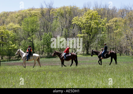 Shenandoah National Park Virginia, Page County, Skyland Resort, Limberlost Horse Trail, VA060523118 Stockfoto