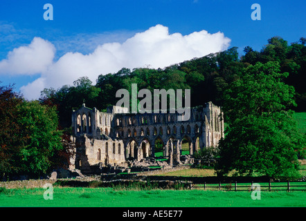 Ruinen von Rievaulx Abbey von Zisterzienser-Mönche in North Yorkshire England gegründet Stockfoto