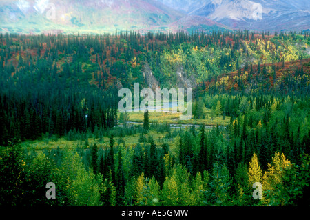 River winding through valley covered in brilliant autumn colors with mountains along the Denali Highway Alaska Stockfoto
