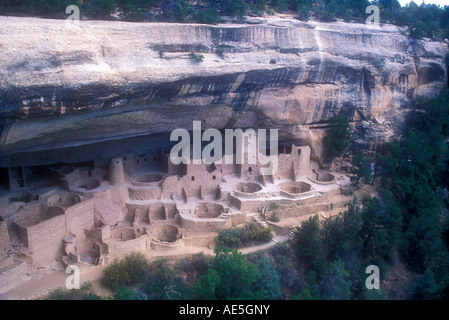 Cliff Palace steinernen Ruinen und Kivas im Dorf gebaut in Felsen von Anasazi Ancestral Pueblo-Indianer Stockfoto