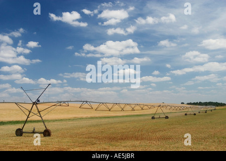 Reihe von Mitte Drehpunkt Sprinklern Bewässerung ein großes Feld unter einem blauen Himmel mit geschwollenen Wolken in der Prärie von Oklahoma Stockfoto