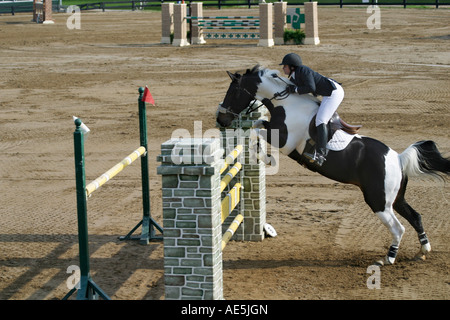 Frau Reiter auf Farbe Pferd springen über doppelte Barriere in Springturnier im Kentucky Horse Park in Lexington Stockfoto