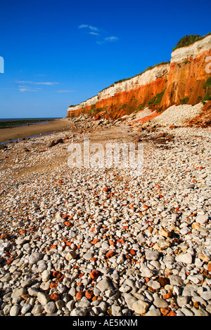 Die bunten, rot-weiß gestreifte Hunstanton Klippen ein Ort von besonderem wissenschaftlichen Interesse an Hunstanton in Norfolk, England Stockfoto