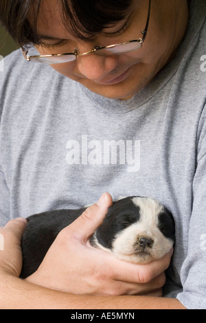 Chinesisch-amerikanischen Mann zärtlich wiegt einen zwei Wochen alten Mischling Welpe schlafend in seinen Armen Stockfoto