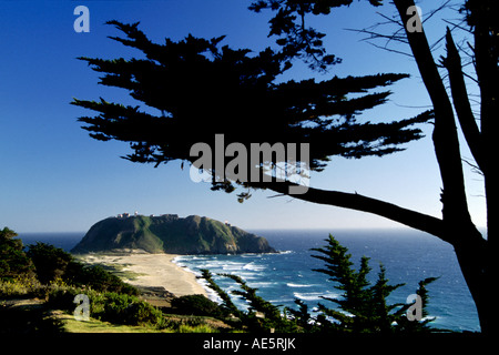 Ein MONTEREY Zypresse Cupressus Macrocarpa und POINT SUR Leuchtturm mit Blick auf den Pazifischen Ozean BIG SUR CALIFORNIA Stockfoto