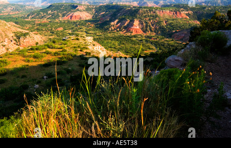 Malerischer Blick auf den Palo Duro Canyon State Park in der Nähe von Amarillo, Texas, USA, mit den zerklüfteten Klippen und der natürlichen Schönheit. Stockfoto