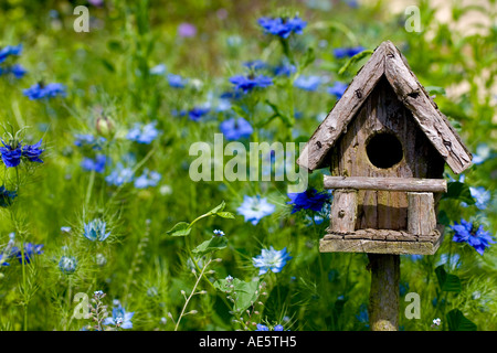 Ein Vogelhäuschen schmiegt sich unter den Frühlingsblumen in einem Englaish Landschaftsgarten Stockfoto