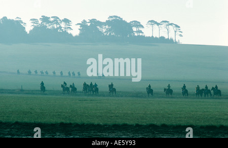Saiten der Rennpferde training in Newmarket Heide in den frühen Morgenstunden Suffolk Stockfoto