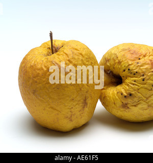 Zwei faltige Golden Delicious Äpfel Stockfoto