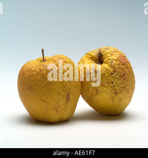 Zwei faltige Golden Delicious Äpfel Stockfoto